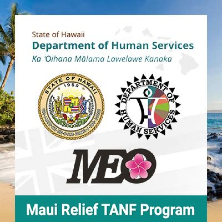 Applications to be taken for Maui Relief TANF program in Lahaina on Tuesday | News, Sports, Jobs